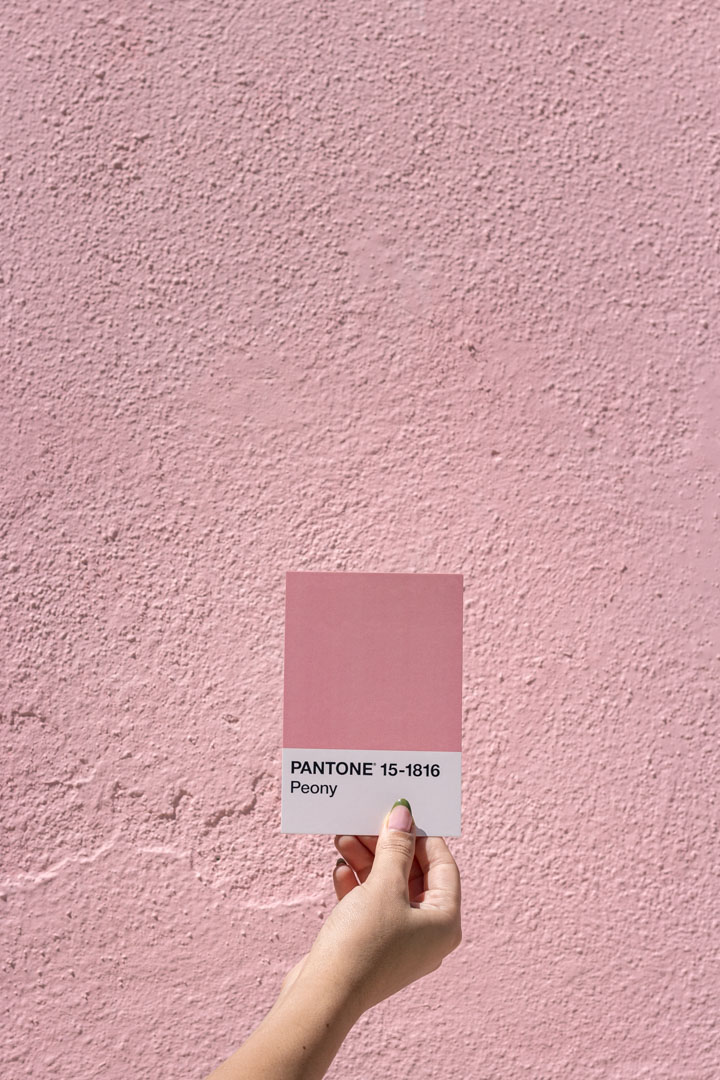 visionsofsara visionsofsara